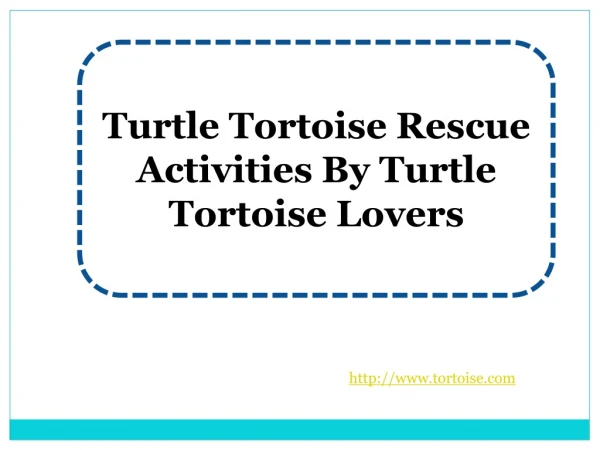 Turtle Tortoise Rescue Activities By Turtle Tortoise Lovers