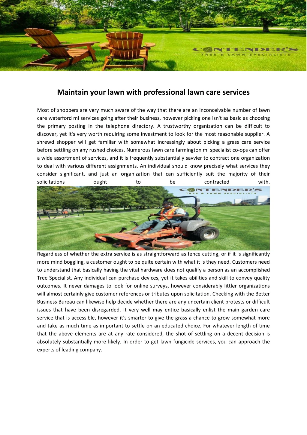 maintain your lawn with professional lawn care