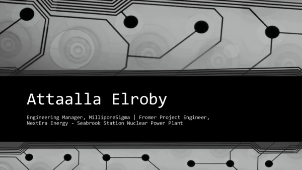 Attaalla Elroby - Possesses Exceptional Management Skills
