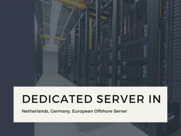 Best Netherlands Servers