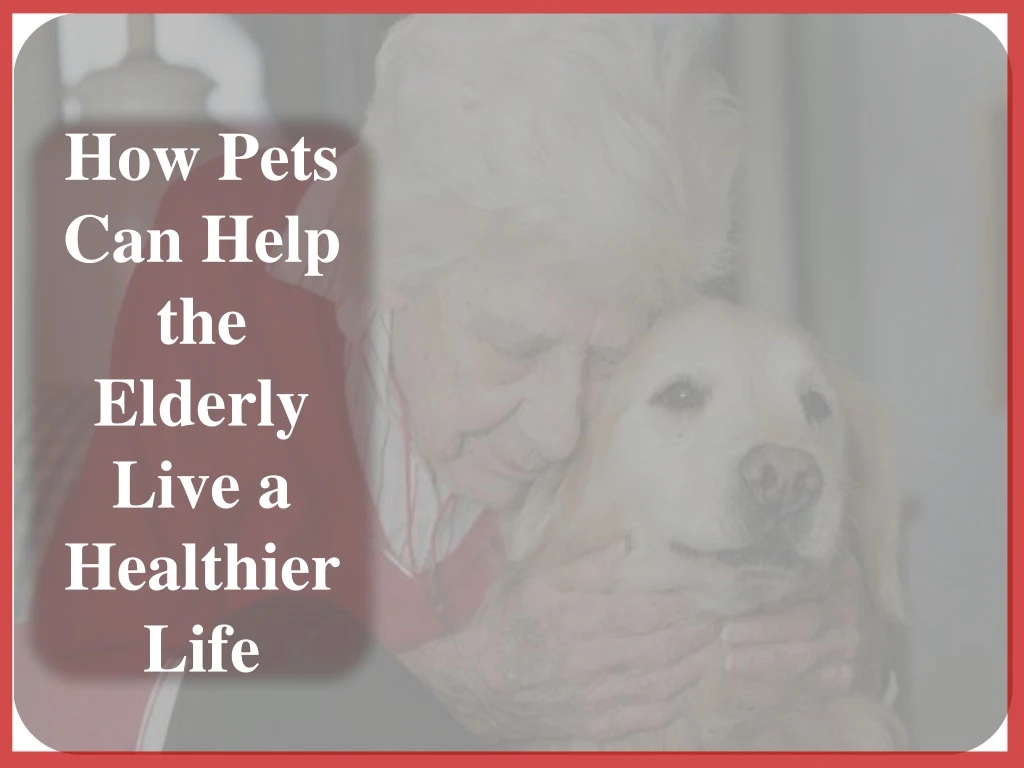 how pets can help the elderly live a healthier
