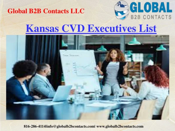 global b2b contacts llc
