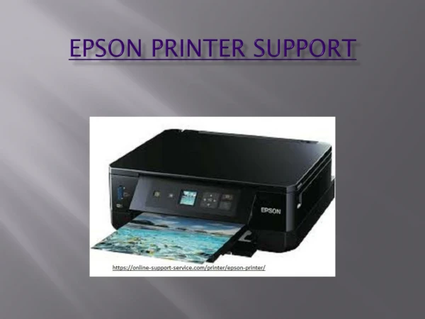 Epson Printer | Online Support Service Toll-free Number