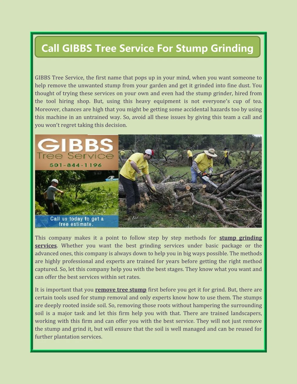 call gibbs tree service for stump grinding