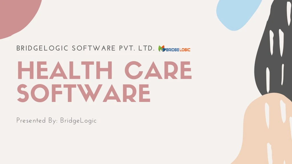 bridgelogic software pvt ltd health care software