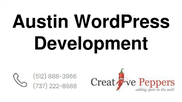 Austin WordPress Development