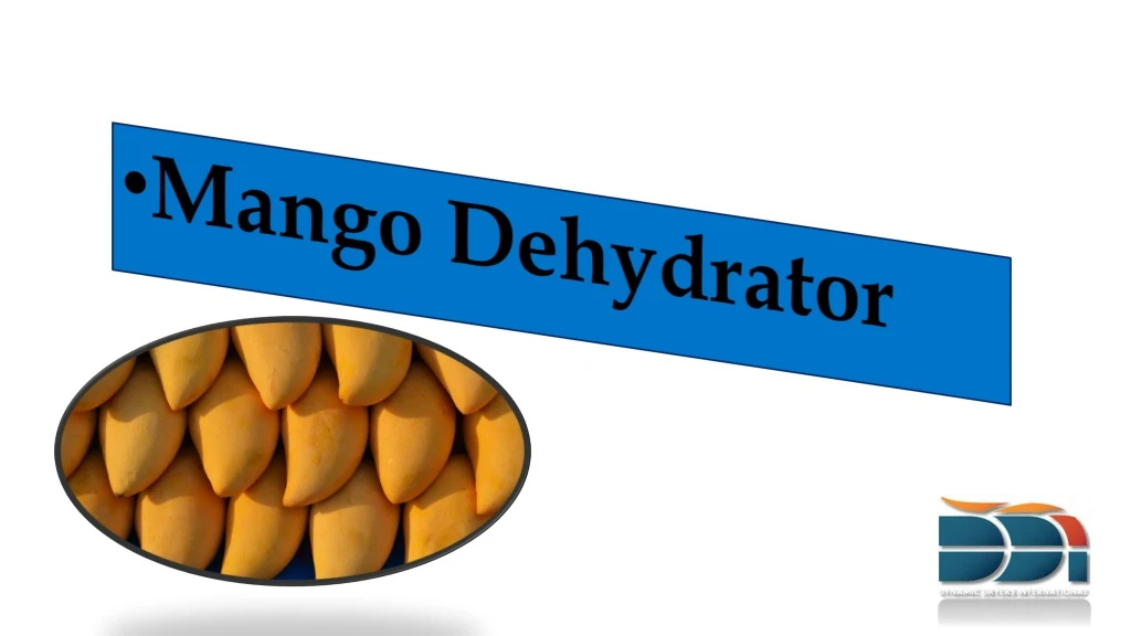 mango dehydrator