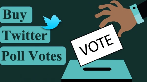 How to Use Twitter Poll to Enhance Reputation on the Web?