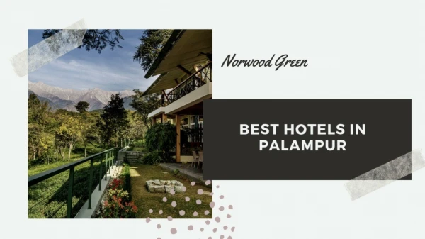 Best Hotels in Palampur, Himachal Pradesh