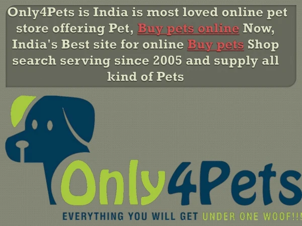 Buy pet online in india