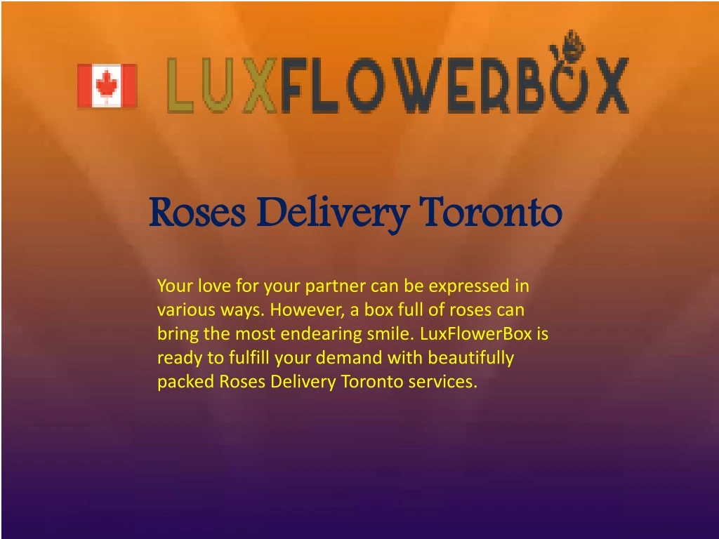 roses delivery toronto