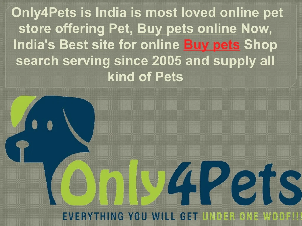 only4pets is india is most loved online pet store