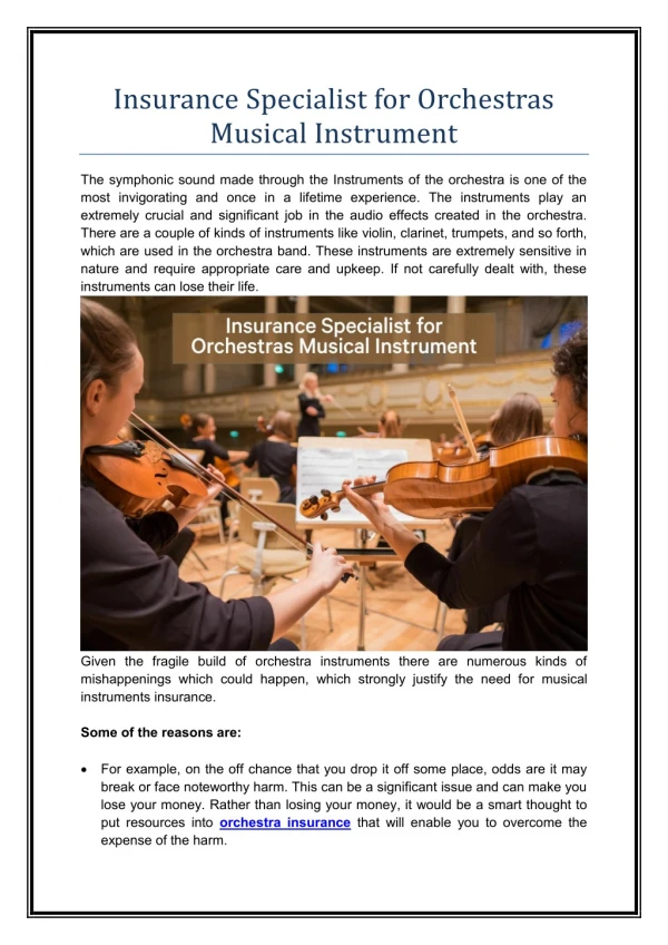 Insurance Specialist for Orchestras Musical Instrument