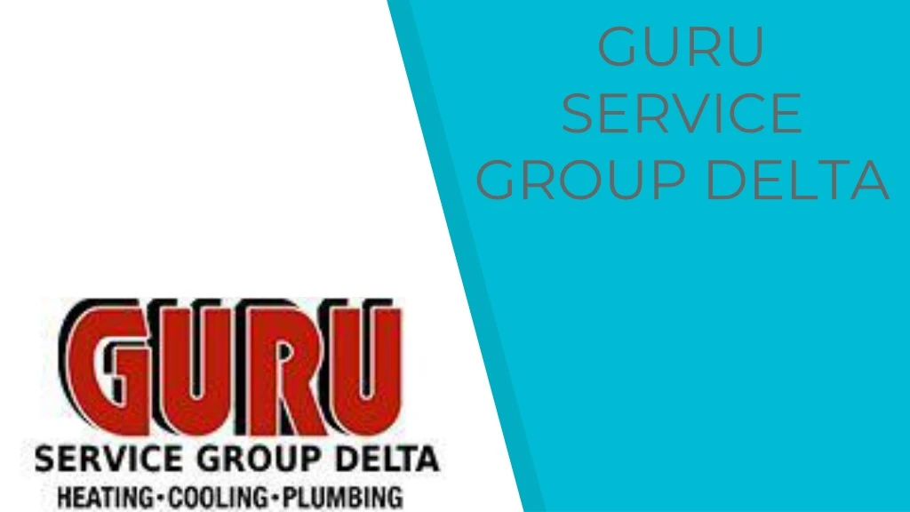 guru service group delta