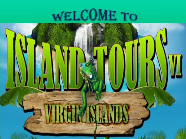 Island Tours St. John VI