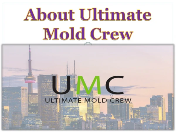 About Ultimate Mold Crew