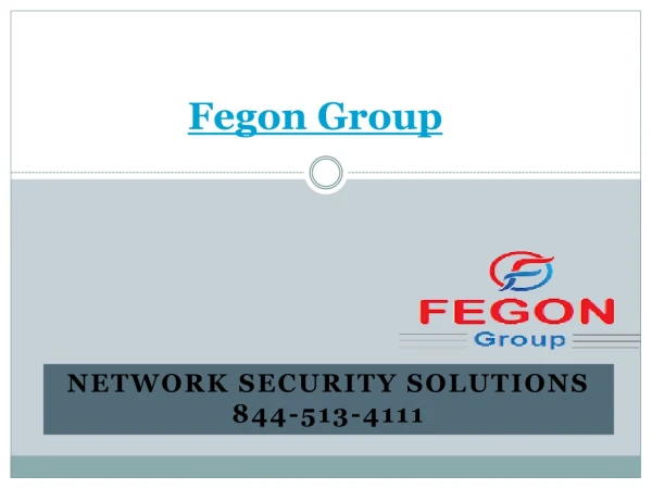 fegon group