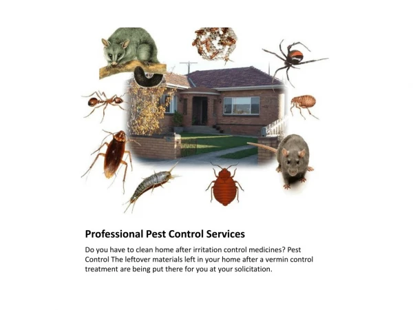 Best Pest Removal Companies