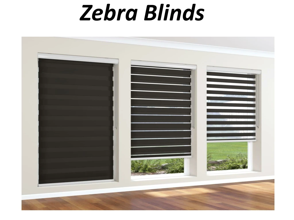 zebra blinds
