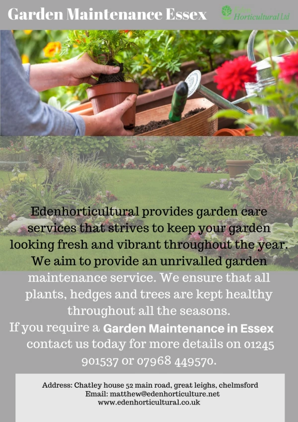 Garden Maintenance Essex