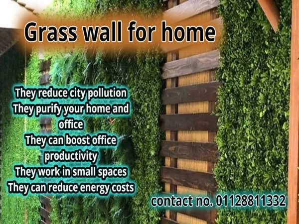 Grass wall for home