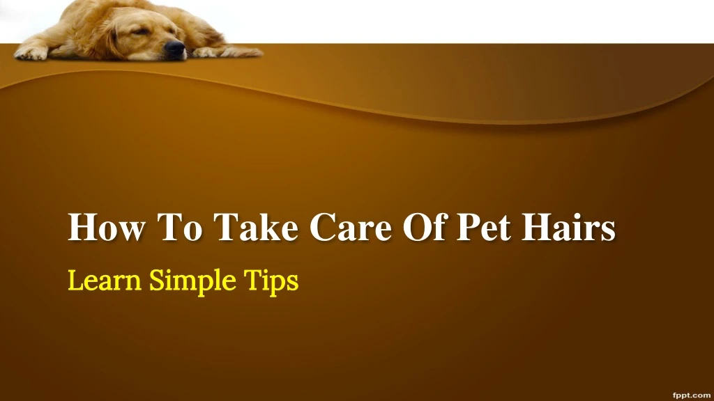 how to take care of pet hairs