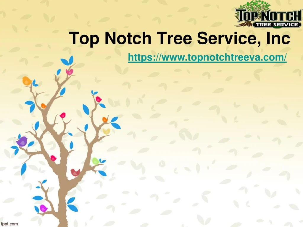 top notch tree service inc