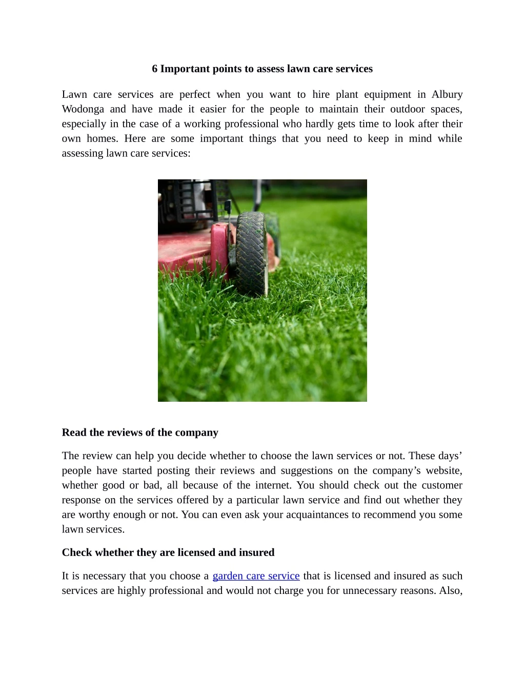6 important points to assess lawn care services