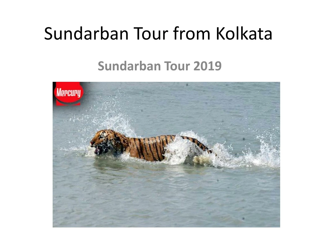 sundarban tour from kolkata