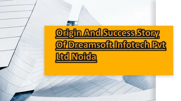 Origin And Success Story Of Dreamsoft Infotech Pvt Ltd Noida
