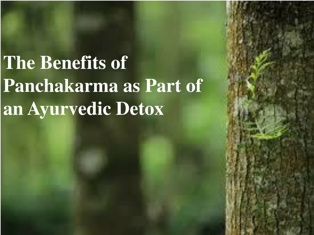 the benefits of panchakarma as part of an ayurvedic detox
