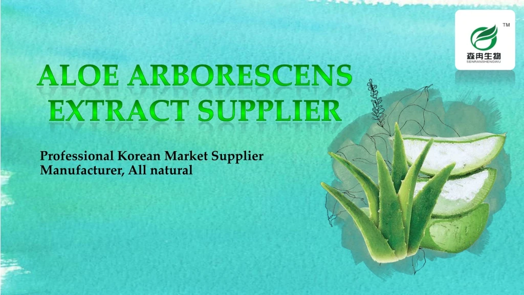 professional korean market supplier manufacturer