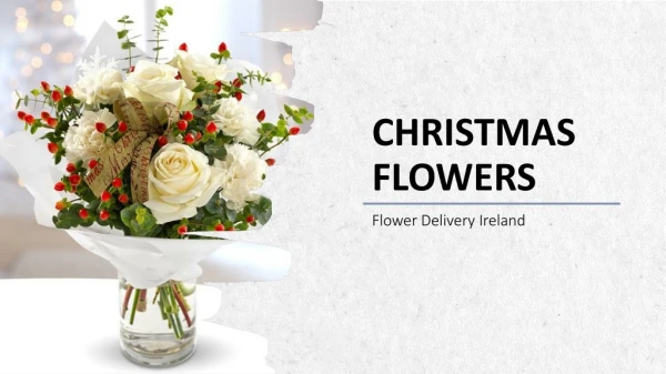 Buy Christmas Flowers Dublin by Flower Delivery Ireland