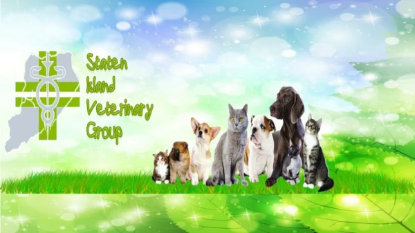 Staten Island Veterinary Group