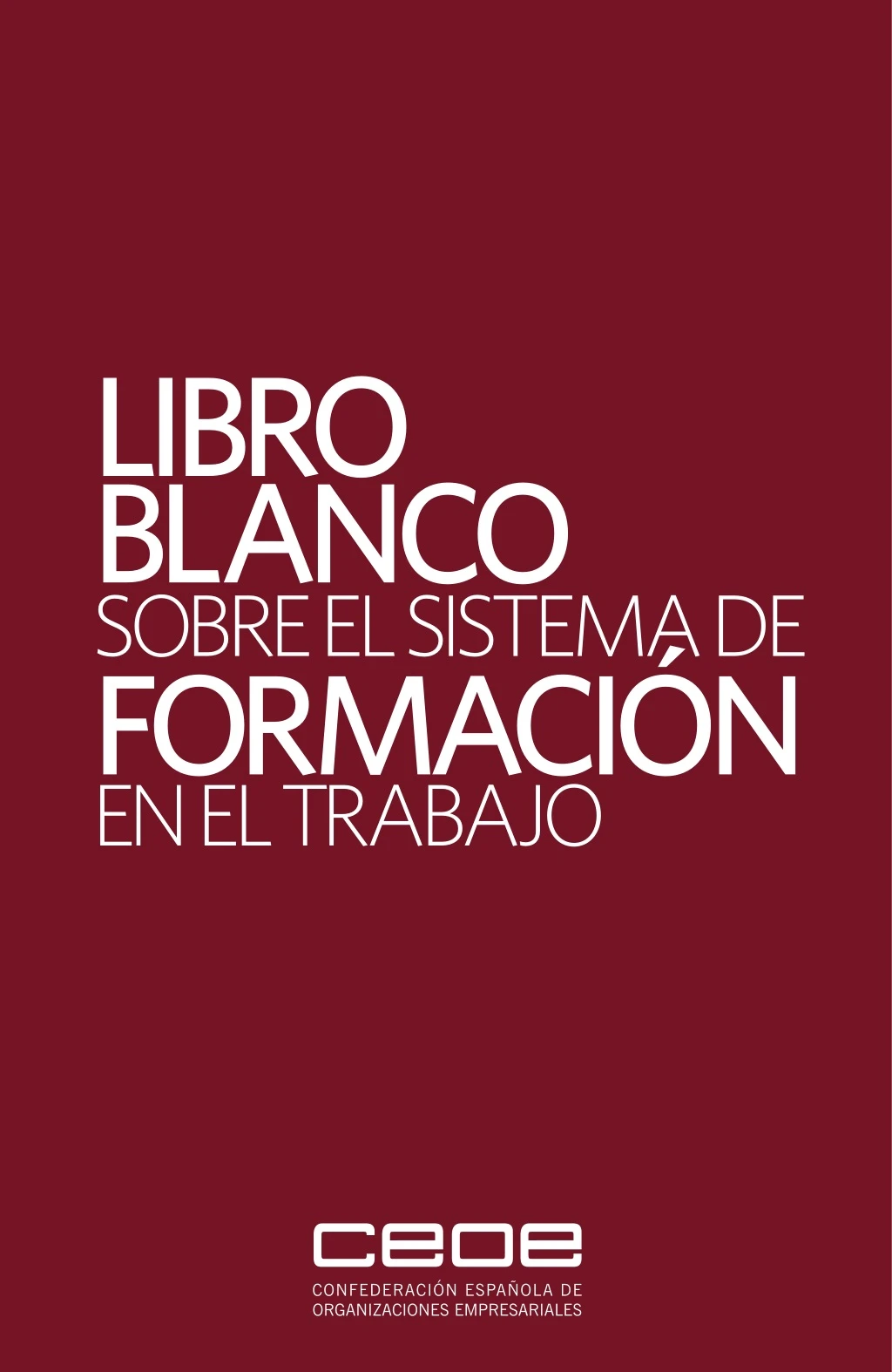 libro blanco sobre el sistema de formaci