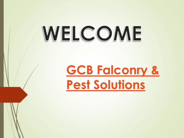 Best services of Wasp Nest Removal in Aston Fields