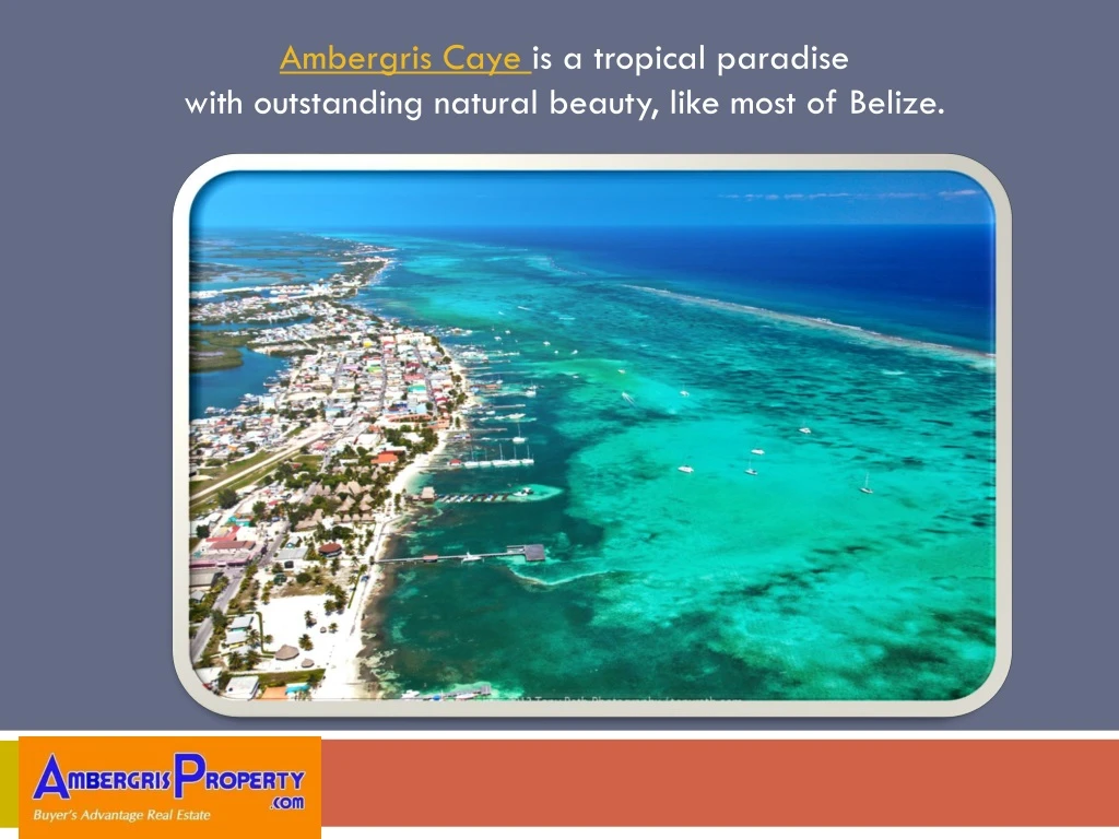 ambergris caye is a tropical paradise with