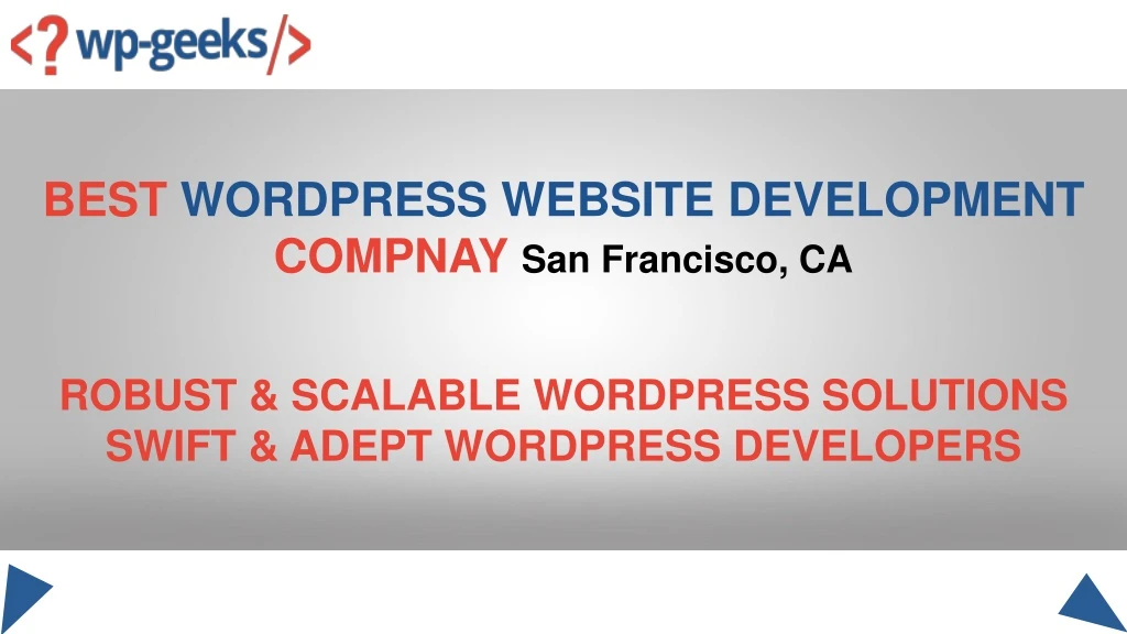 best wordpress website development compnay