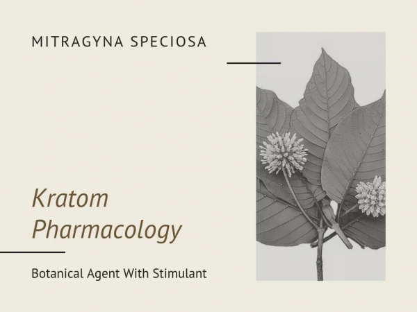 What is Kratom Pharmacology