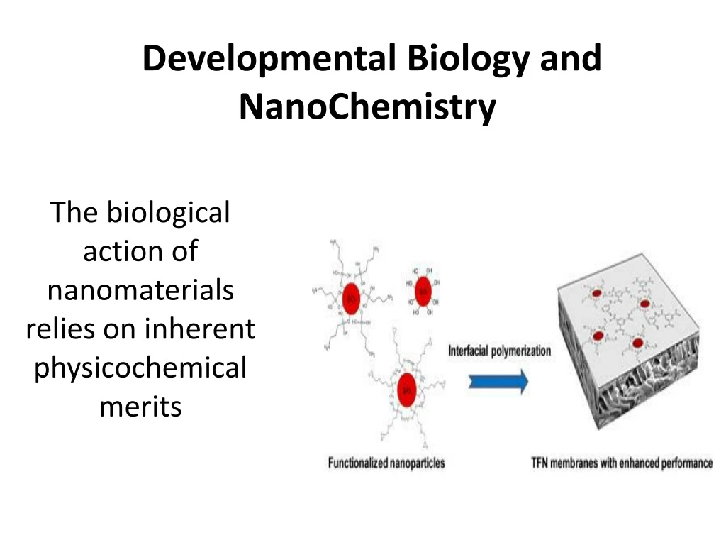 developmental biology and nanochemistry