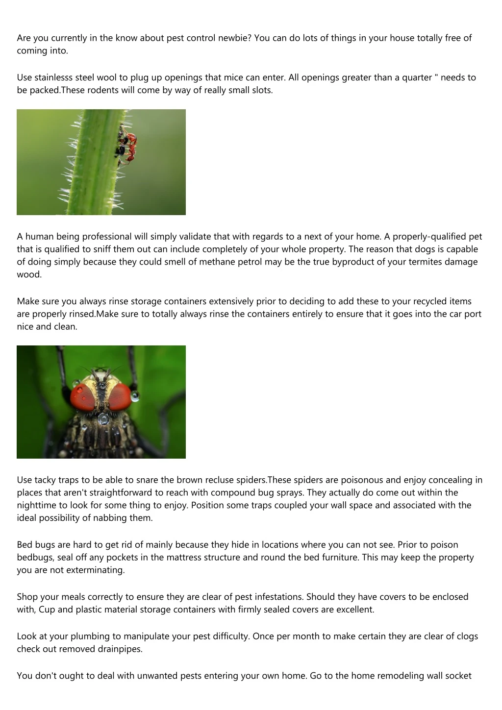 are you currently in the know about pest control