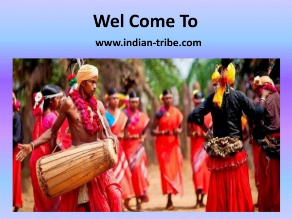Indian Tours - Enjoy your Tour and Explore It