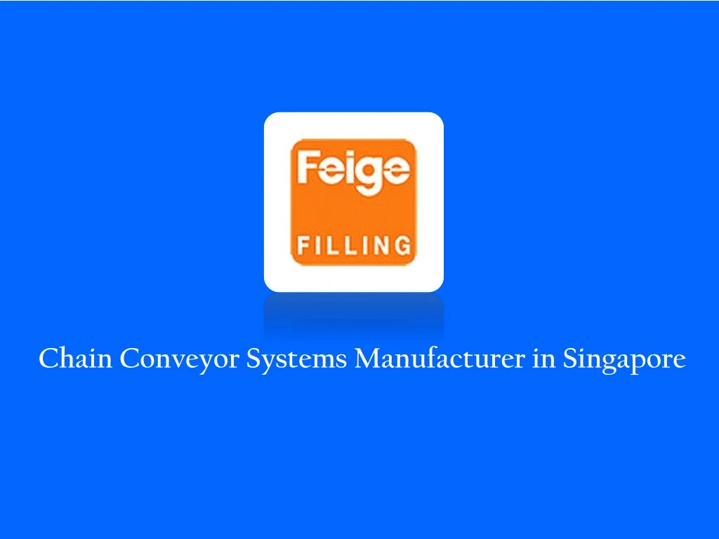 chain conveyor systems manufacturer in singapore