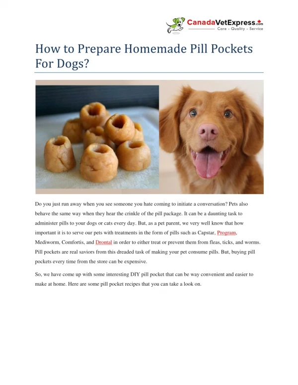How to Prepare Homemade Pill Pockets For Dogs