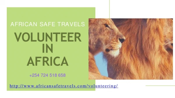 We volunteer with us in Africa– African safe travels