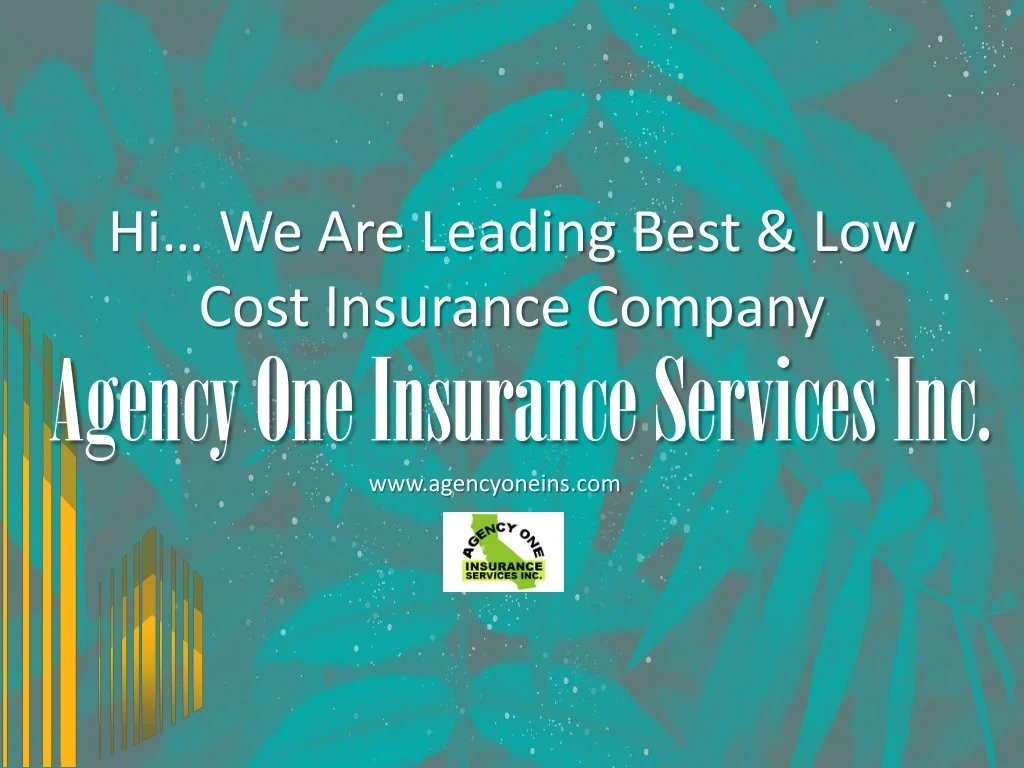 hi we are leading best low cost insurance company