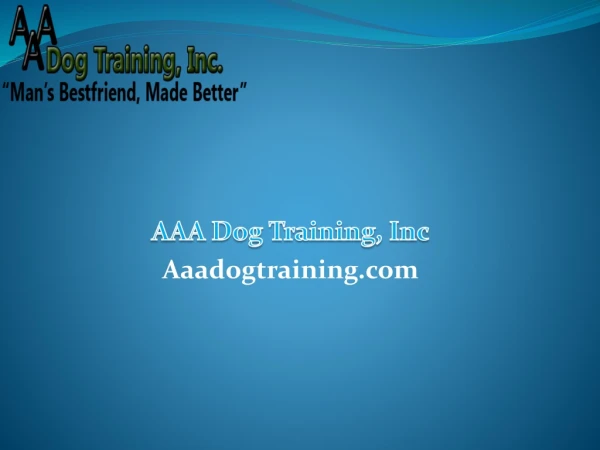 Effective Techniques for Dog Obedience Training