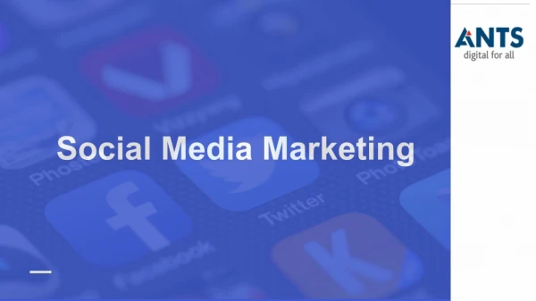 Social Media Marketing | ANTS Digital