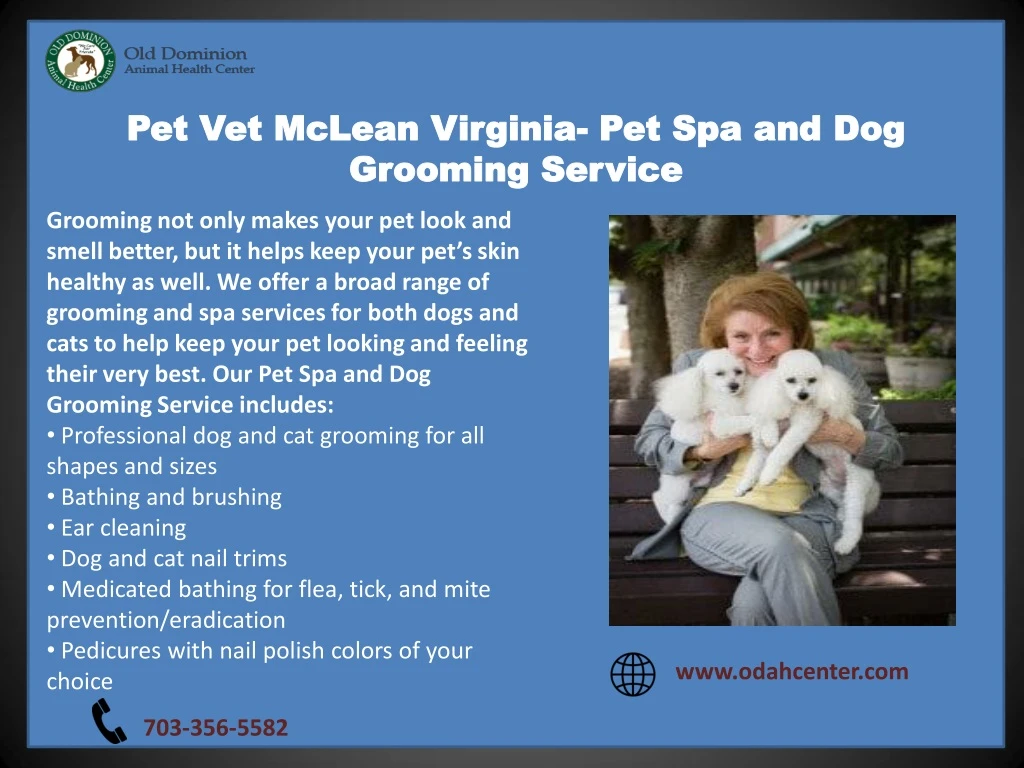 pet pet vet mclean virginia vet mclean virginia