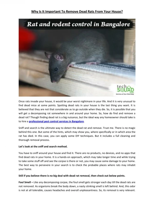 Why Is It Important To Remove Dead Rats From Your House?